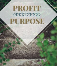 Stair Steps With Text Overlay Saying "Purpose, Profit".