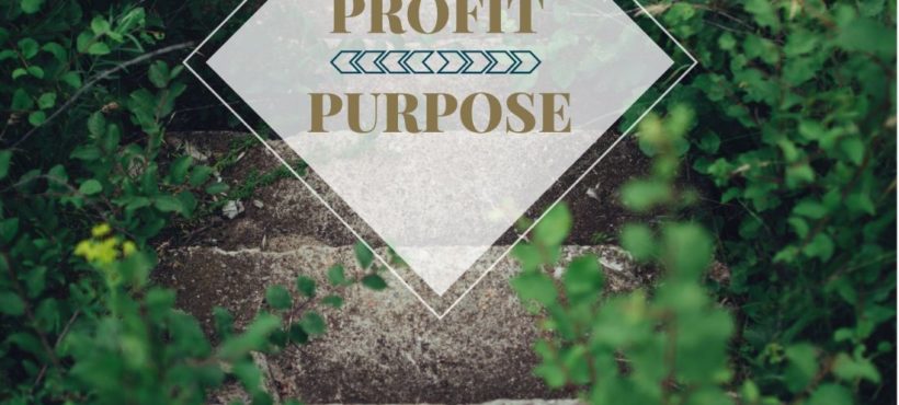 Stair Steps With Text Overlay Saying "Purpose, Profit".
